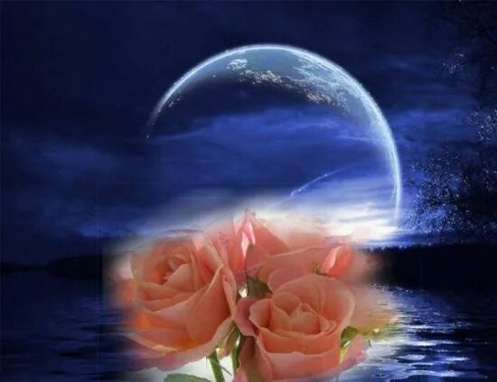 Картинки доброй ночи женщине позитивные необычные нежные Blue Moon and Pink Roses World pictures, Beautiful moon, Painting