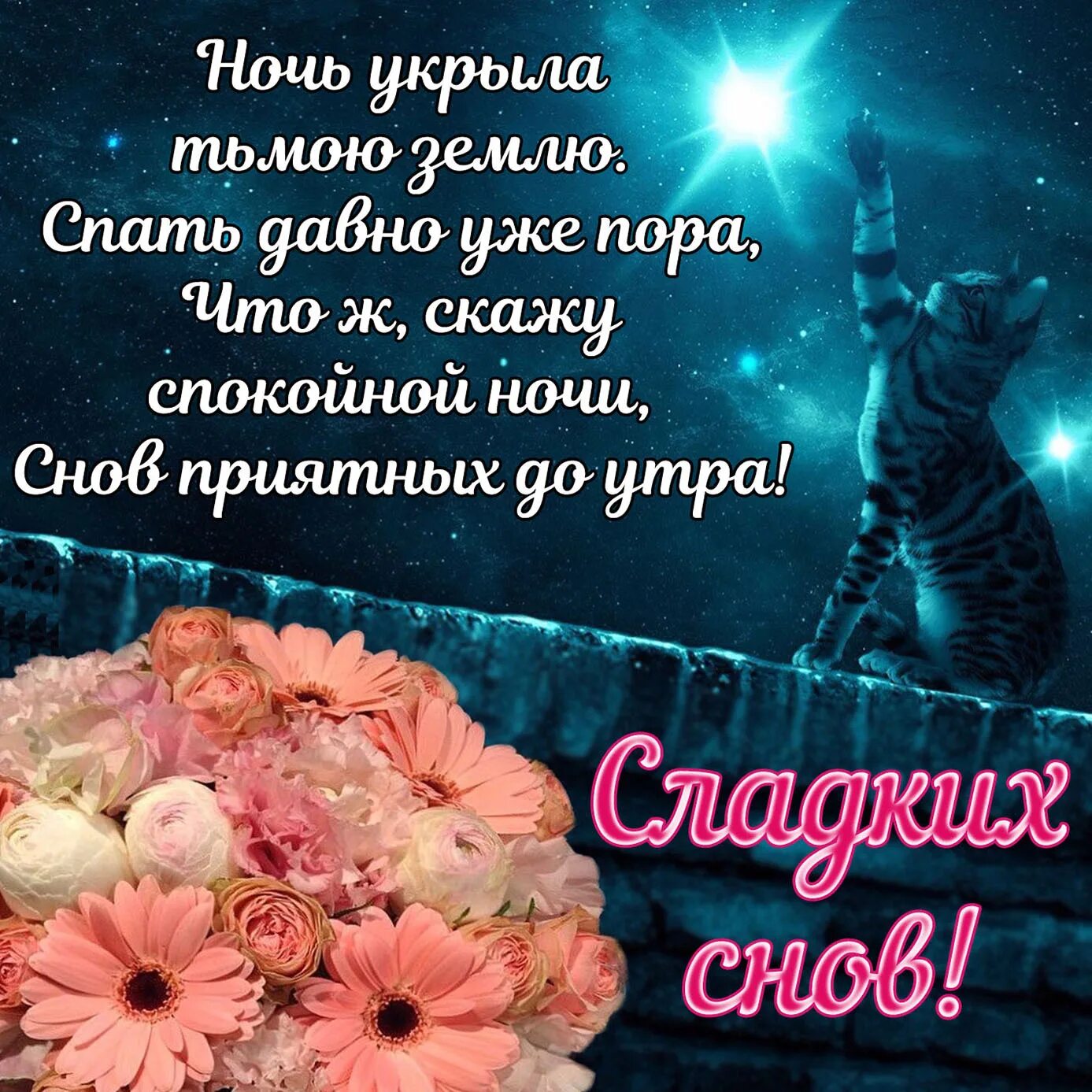 Картинки доброй ночи женщине с пожеланиями скачать Пожелания на вечер и ночь: найдено 77 изображений