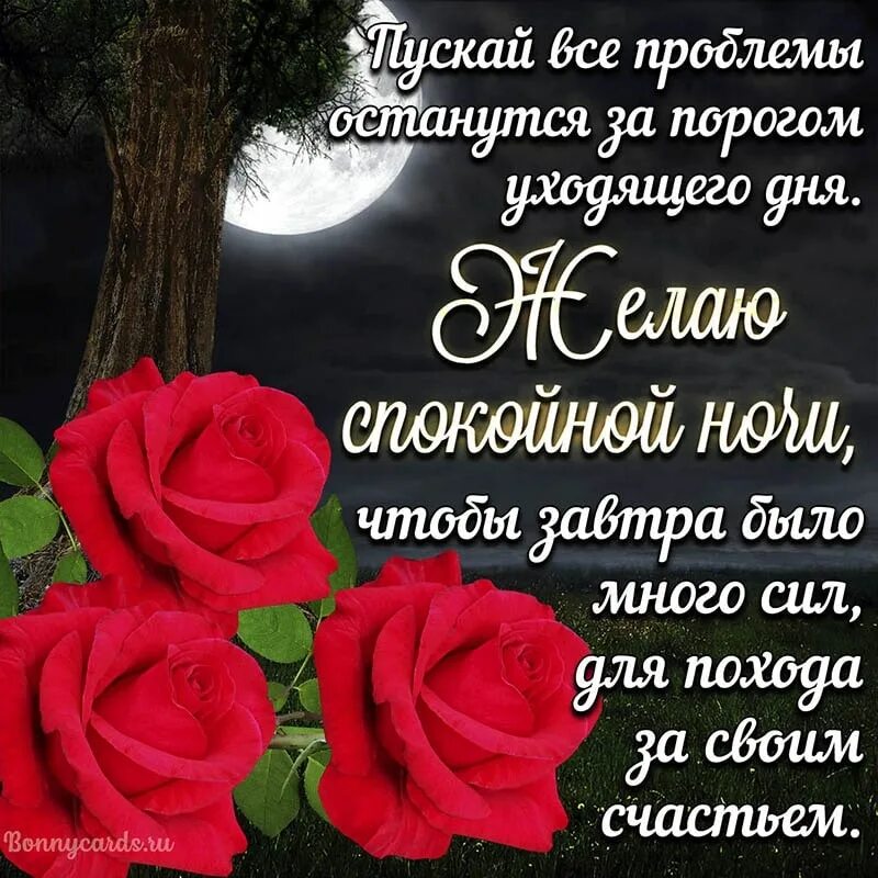 Картинки доброй ночи женщине с пожеланиями скачать Post #3018 - Открытки с добрым утром, с днем рождения (@cardsgreet)