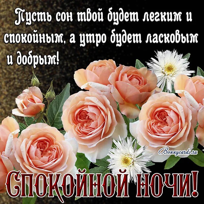 Картинки доброй ночи женщине с пожеланиями скачать Открытка - красивое пожелание спокойной ночи на фоне нежных роз