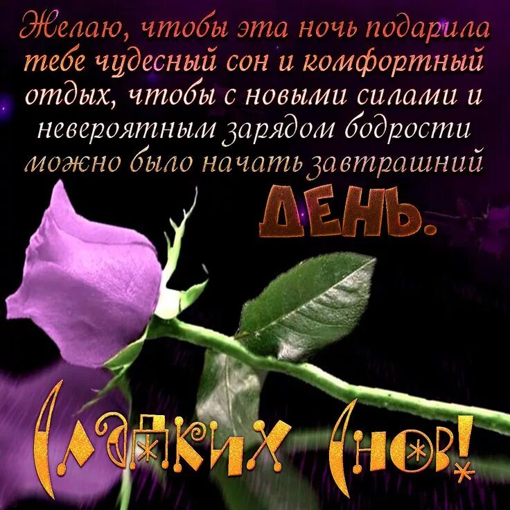 Картинки доброй ночи женщине с пожеланиями скачать Картинка с розой и красивым пожеланием на ночь True friendship, Instagram posts,