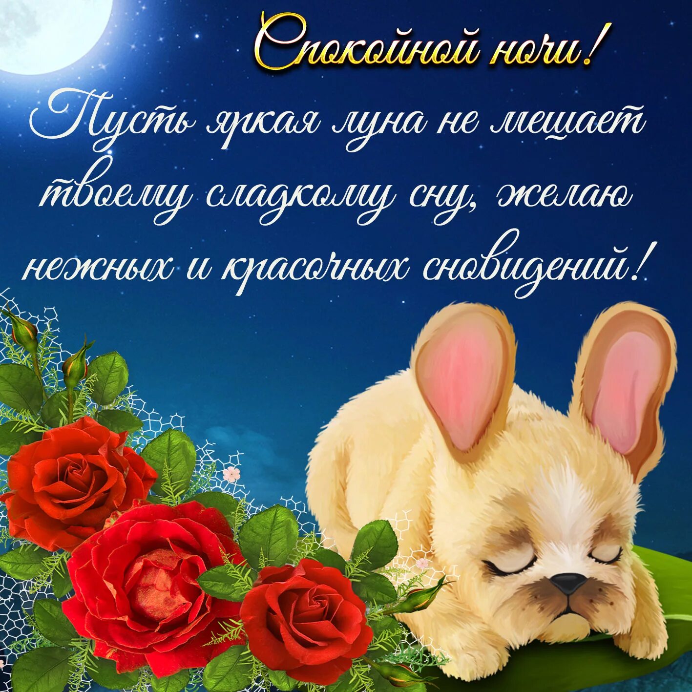 Картинки доброй ночи женщине с пожеланиями скачать Яркая картинка с пожеланием спокойной ночи