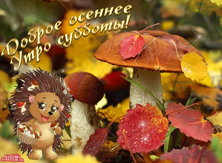 Картинки доброй осенней субботы и хорошего дня Доброе осеннее утро субботы картинки с надписью