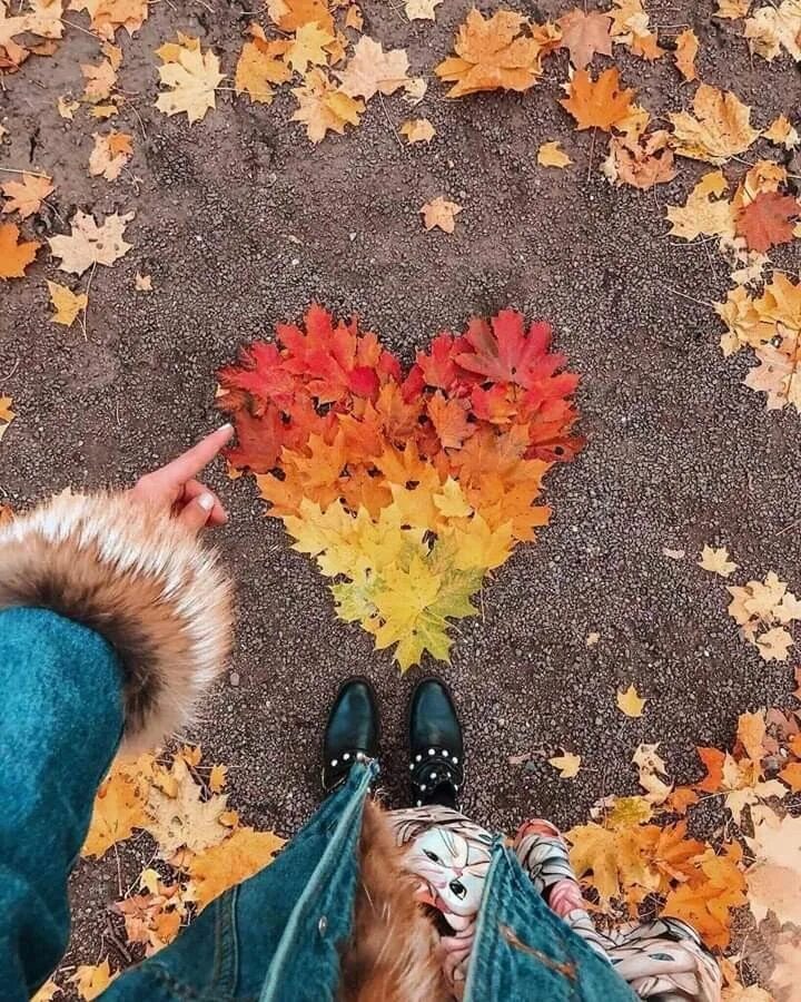 Картинки добрые позитивные осенние Пин от пользователя mabel tejera на доске OTOÑO ..... LAS HOJAS ABREN SUS ALAS Y
