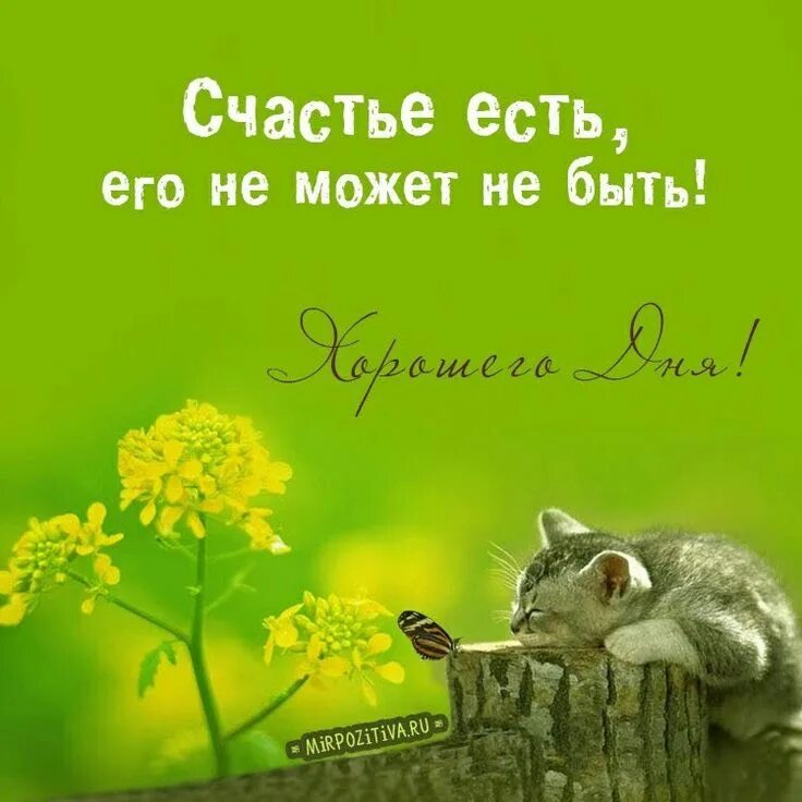 Картинки добрые позитивные пожелания скачать бесплатно Pin on Пожелания Birthday greeting message, Good morning, Cool words