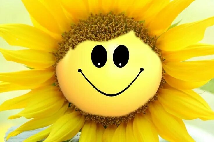 Картинки добрые позитивные скачать Pin by Bao Nghi on A. Biêu tượng cảm xúc Smile status, Smile word, Smiley