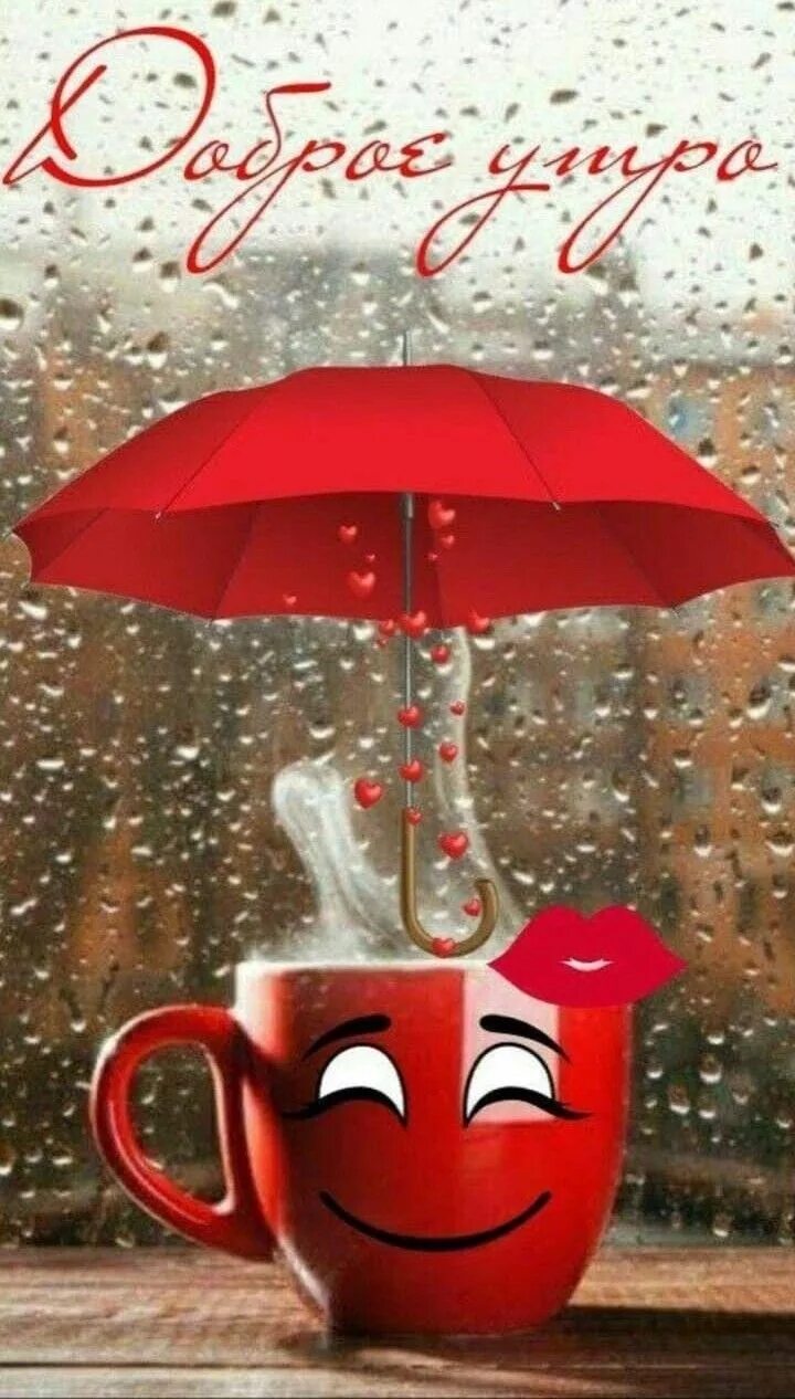 Картинки добрым утром смешные прикольные дождь Pin on Доброе утро Good night greetings, Good morning greetings, Good morning fl