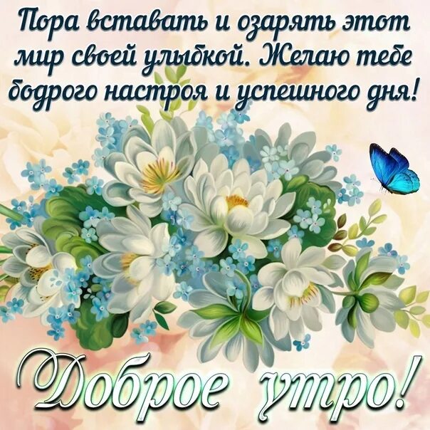 Картинки добрый день новинки с пожеланиями Открытки с добрым утром с цветами (50 штук)