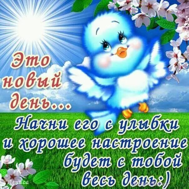 Картинки добрый день новинки с пожеланиями Пин от пользователя Мария Косарева на доске Хорошее настроение. Доброе утро, Кар