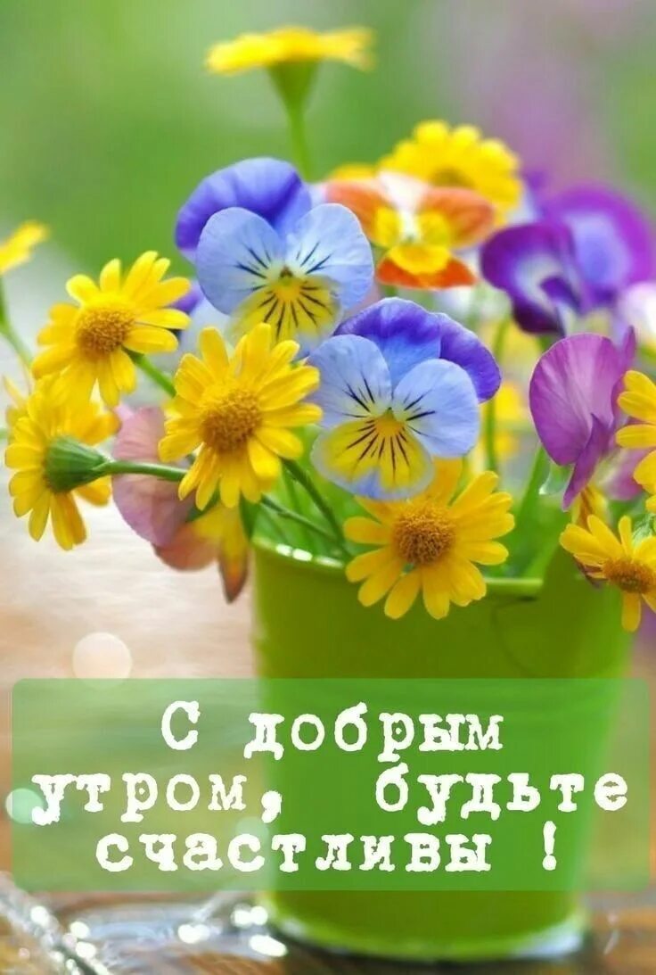 Картинки добрый день позитивные бесплатные Пин на доске #Картинки Доброе утро# #картинки# Доброе утро, Счастливые картинки,