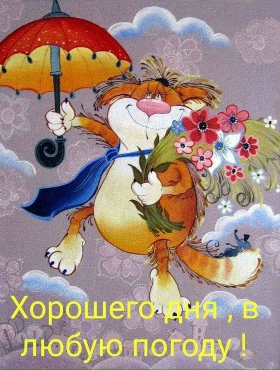Картинки добрый день позитивные прикольные Пин на доске Доброе утро и день Счастливые картинки, Доброе утро, Веселые картин