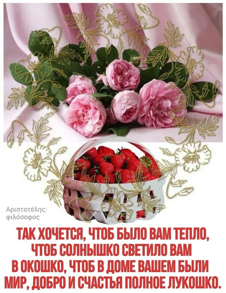 Картинки добрый день с пожеланиями благополучия Пин от пользователя Elen Shapovalova на доске Настроение Открытки, Новоселье, Бу