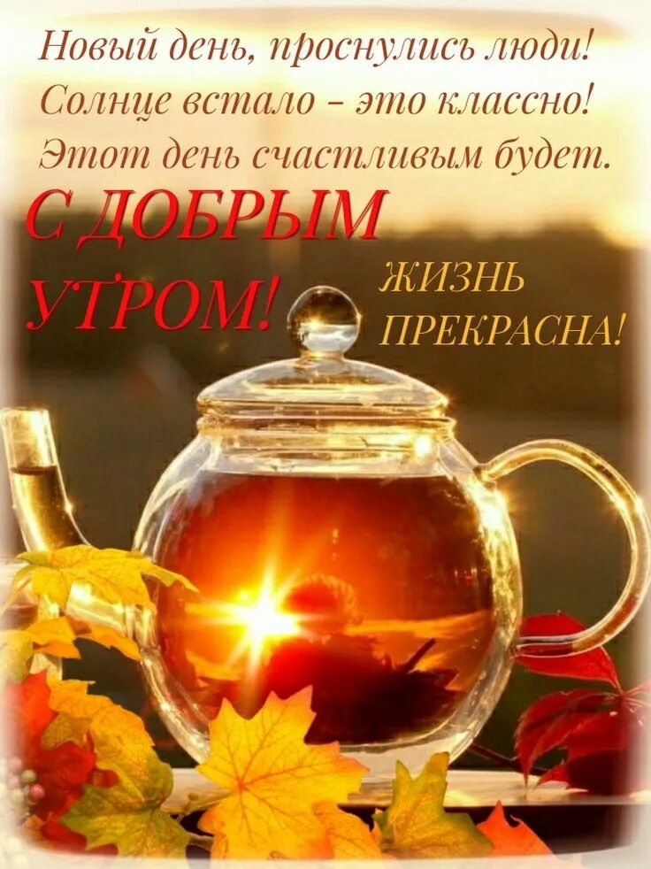 Картинки добрый доброе утро день позитивные осенние Пин от пользователя Жанна на доске Доброе утро Доброе утро, Открытки, Благодарны