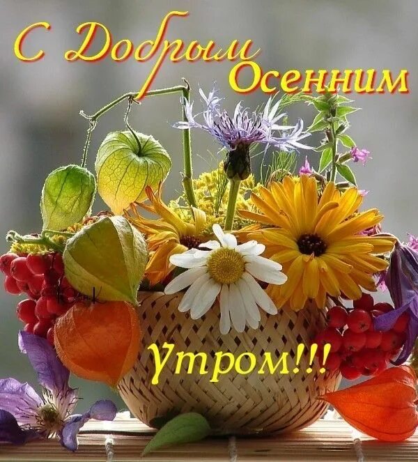 Картинки добрый доброе утро день позитивные осенние Pin on Доброе утро Good morning, Greetings, Projects to try