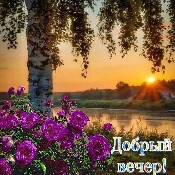 Картинки добрый летний вечер красивые с пожеланиями Добрый осенний вечер! Хорошего отдыха!! 2021 *Теплотой наполните сердца* ВКонтак