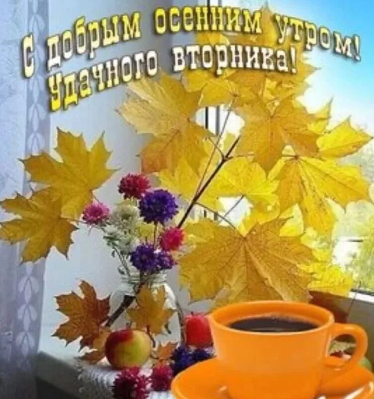 Картинки добрый осенний вечер вторника Доброе утро, дорогие односельчане! Сегодня вторник, 7 ноября. И сегодня праздную