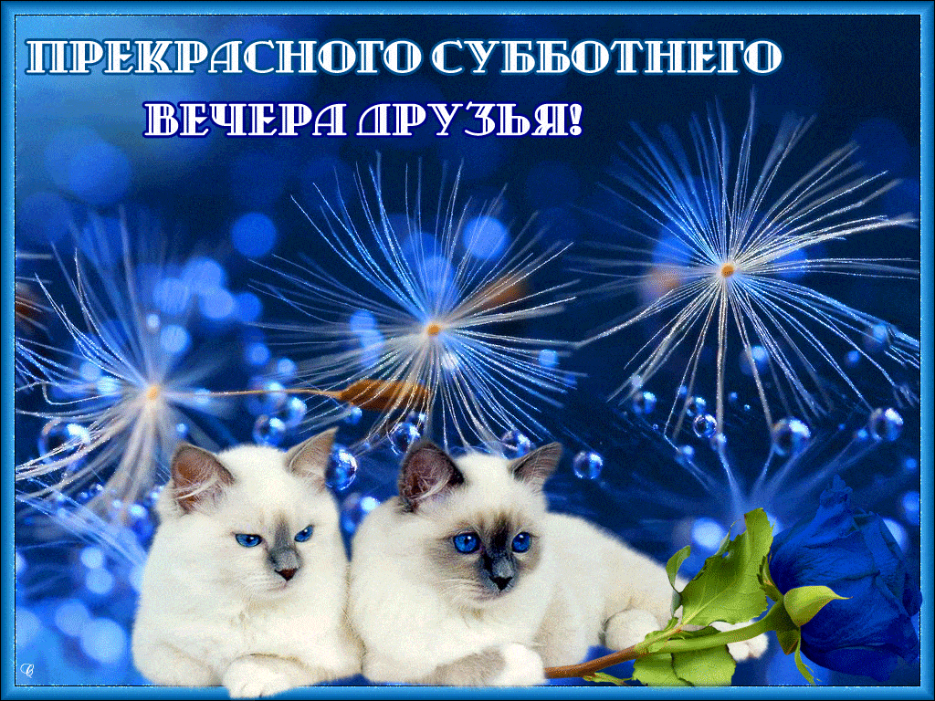 Картинки добрый субботний вечер скачать бесплатно Мерцающая открытка про Субботу
