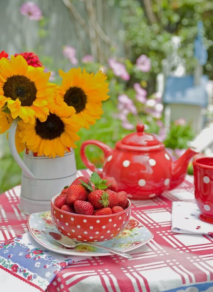 Картинки добрый утро летние новые love the polka dots!!!! Flea market gardening, Tea and books, Christmas decorati