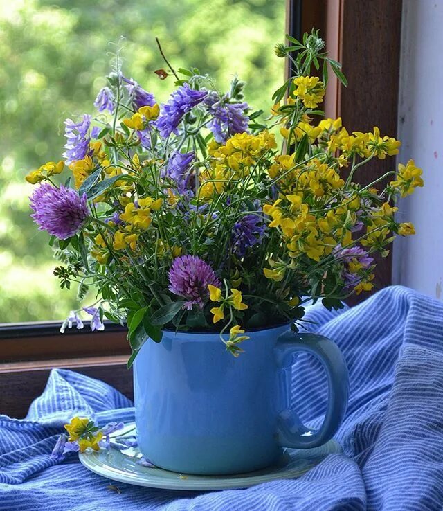 Картинки добрый утро летние новые Юлия on Instagram: "#summer #summertime #flower #flowers #summermood #june #russ