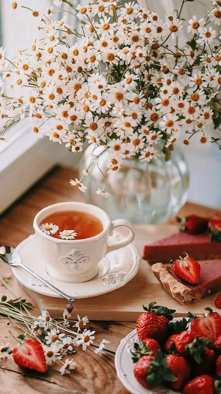 Картинки добрый утро летние новые Cottage-core Aesthetic for a Perfect Summer Day