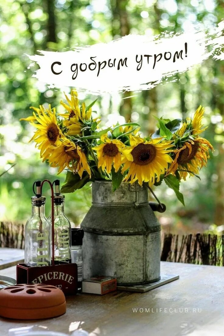 Картинки добрый утро летние новые Пин от пользователя Larissa Stadnik на доске Humor Открытки, Белые текстуры, Доб