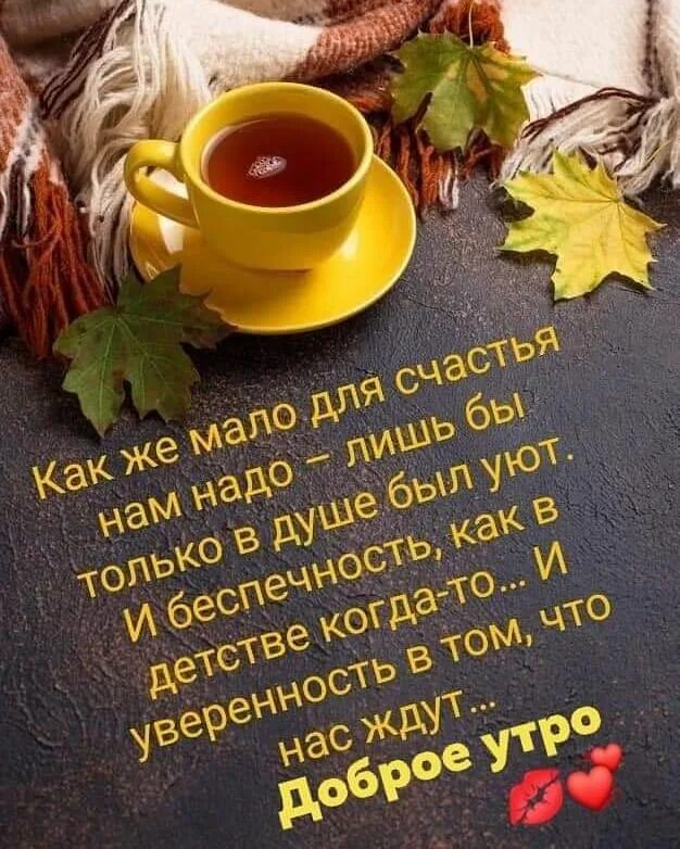 Картинки добрый утро тепло 532 Me gusta, 4 comentarios - Марина Баженова (@marinabazheno) en Instagram Добр