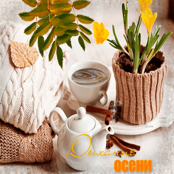 Картинки добрый утро тепло Неразобранное в Чай и другие напитки Good morning gif, Beautiful morning, Flower