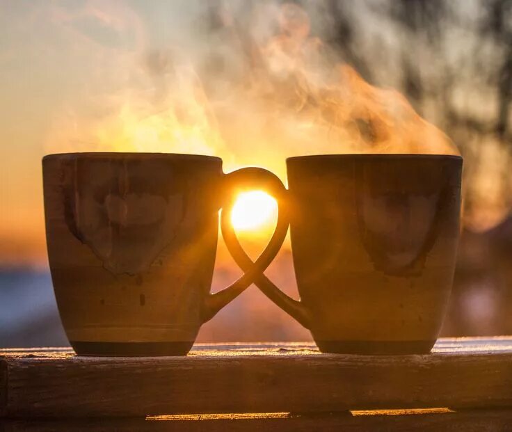 Картинки добрый утро тепло Coffee and Books for a Perfect Morning