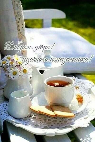 Картинки добрый утро тепло Pin by Алла Беганская on Доброе утро Good morning, Glassware, Mugs