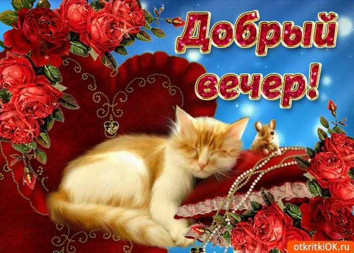 Картинки добрый вечер бесплатно мерцающие прикольные Добрый вечер Открытки, Спокойной ночи, Картинки