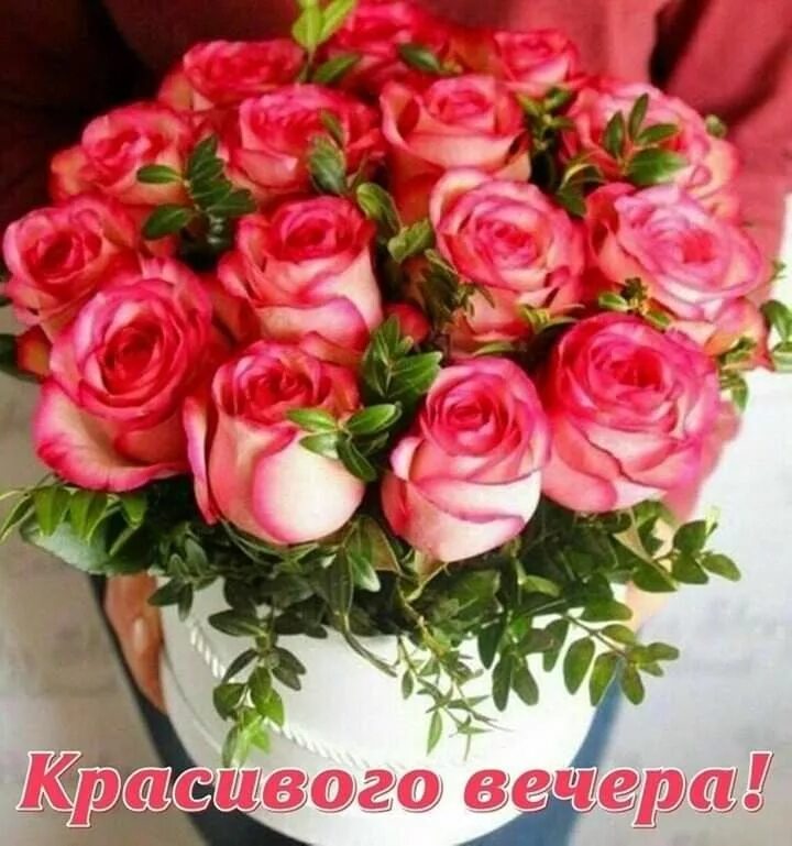 Картинки добрый вечер букеты роз Pin by Лёля Galustyan on Добрый вечер, доброй ночи Amazing flowers, Montreal bot