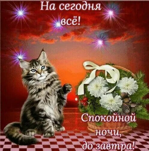 Картинки добрый вечер до завтра Открытки спокойной ночи, скачать бесплатно Спокойной ночи, Ночь, Веселые картинк