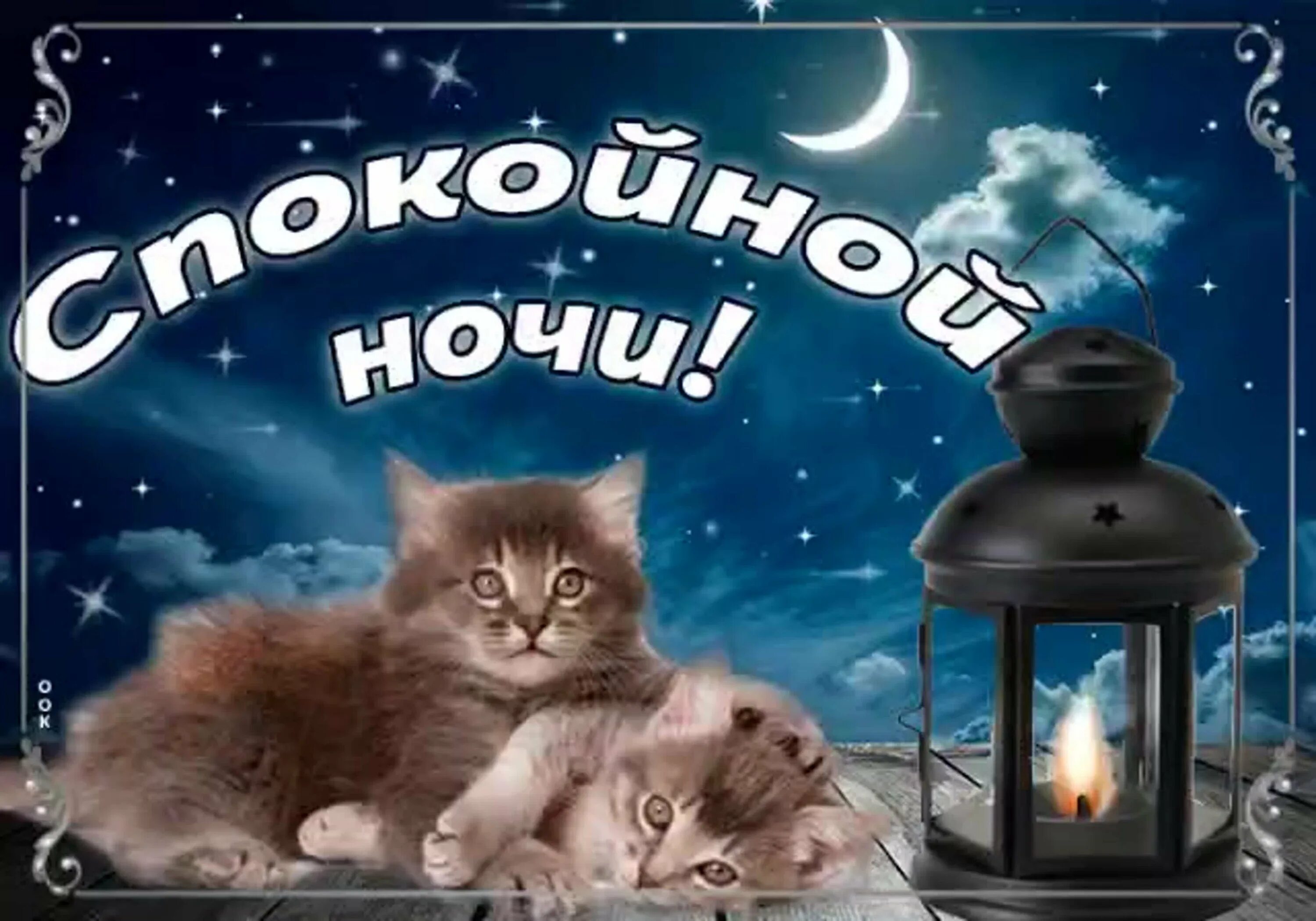 Картинки добрый вечер до завтра Добрый вечер доброй ночи добрых снов: найдено 90 изображений