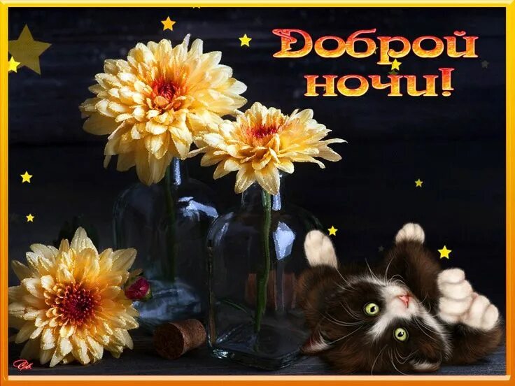 Картинки добрый вечер доброй ночи скачать бесплатно Пин от пользователя Larissapossuh на доске Надобраніч та Добрий вечер Ночь, Откр