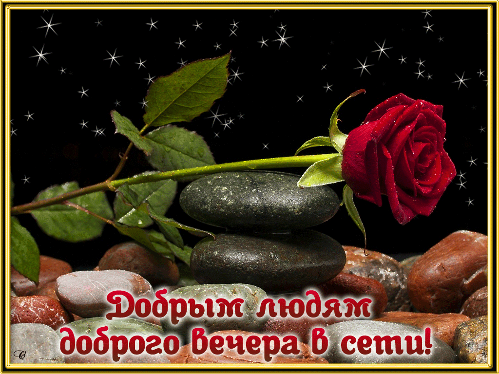 Картинки добрый вечер дорогим людям ДОБРЫЙ-ВЕЧЕР-В-СЕТИ Novelty christmas, Holiday decor, Holiday