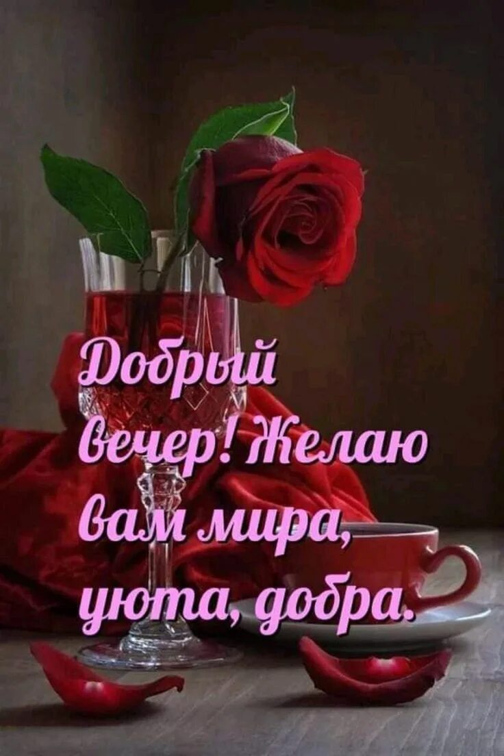 Картинки добрый вечер дорогим людям Pin on Добрый вечер, спокойной ночи