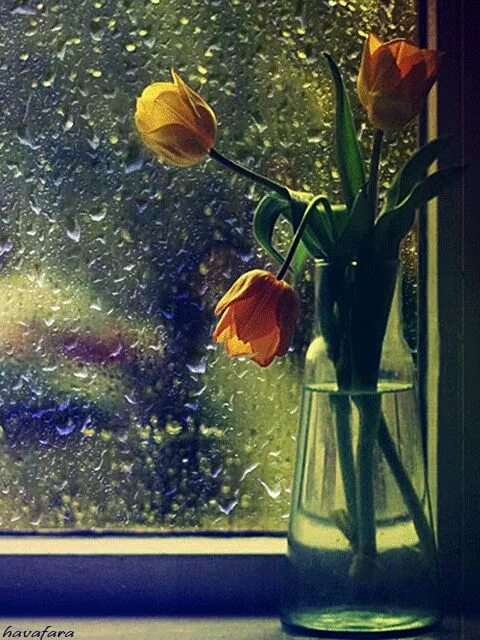Картинки добрый вечер дождь Pin on Meus gif in 2024 Rainy day photography, Beautiful gif, Rain photography