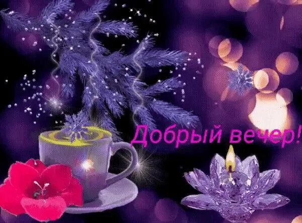 Картинки добрый вечер движущиеся необычные Pin auf Утро, День, Вечер, Ночь