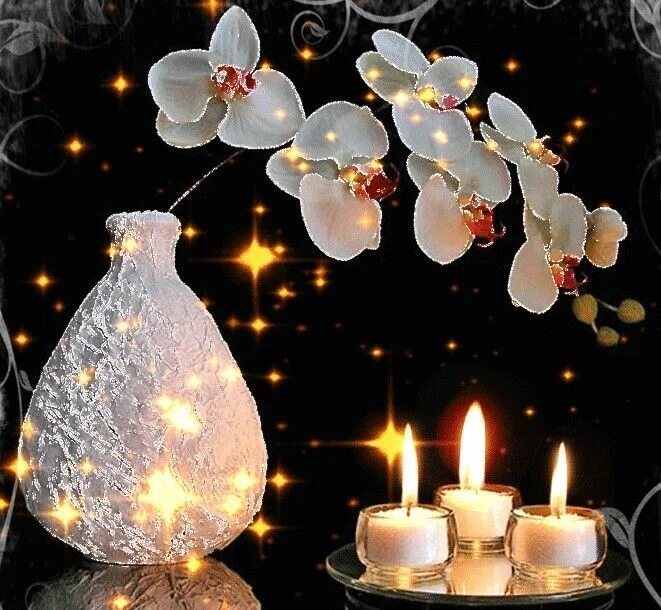 Картинки добрый вечер движущиеся необычные Épinglé sur Flowers Fleurs pour anniversaire, Gif bonne nuit, Photo joyeux anniv