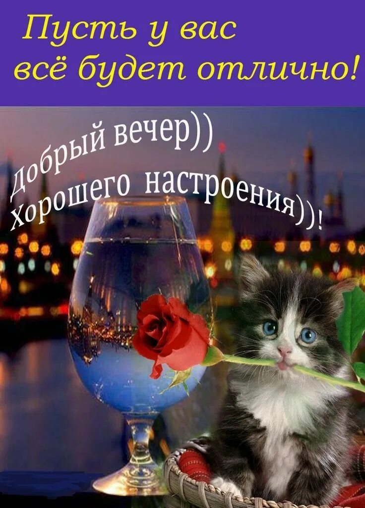 Картинки добрый вечер хорошего настроения необычные Pin by Светлана Попова on Добрый вечер Stemless wine glass, Wine glass, Glasswar