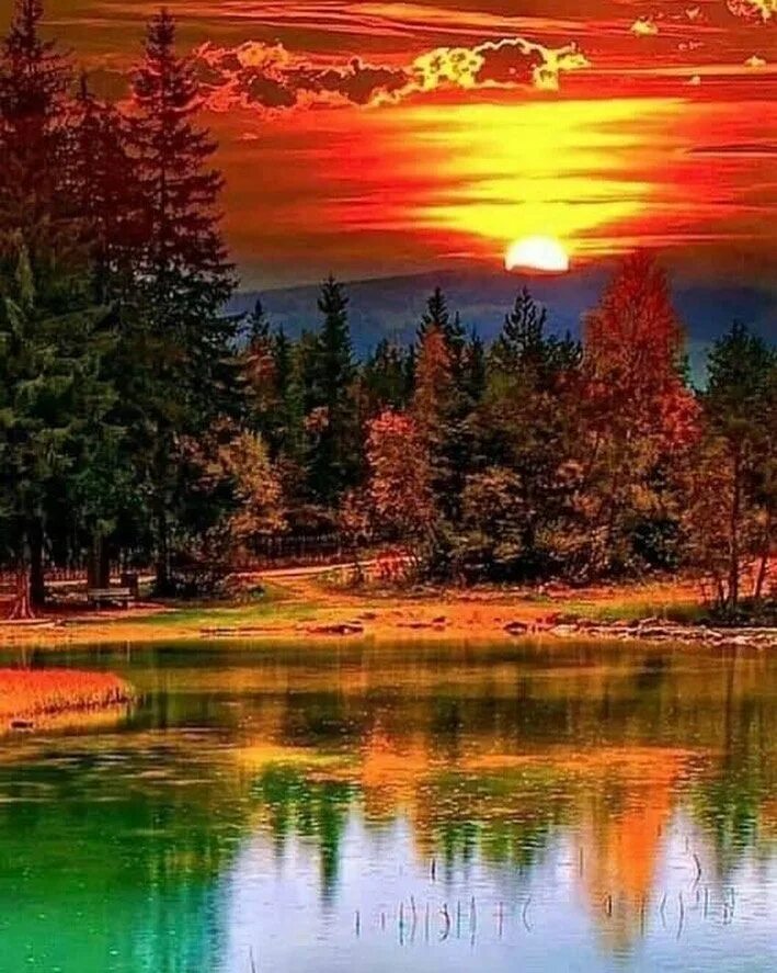Картинки добрый вечер лес Lake Forest Park Home Ebay on Instagram: "Sunset" Пейзажи, Живописные пейзажи, О