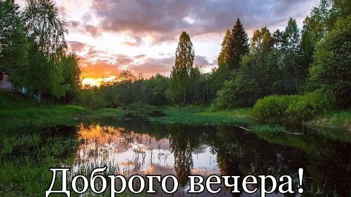 Картинки добрый вечер лес Рая Газизова (Файзуллина) OK.RU