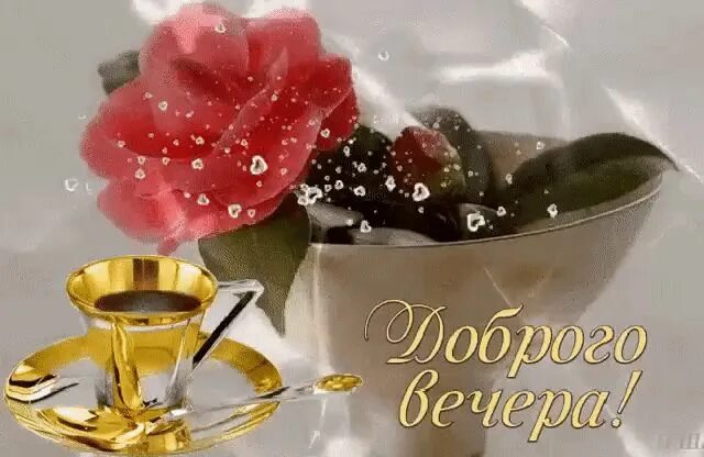 Картинки добрый вечер летние бесплатно Pin by Людмила on Добрый вечер Good night gif, Pocket letters, Cool gifs
