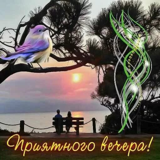 Картинки добрый вечер летние необычные Пин от пользователя Krivenoktatana на доске Добрый вечер! Красивые цветы, Спокой