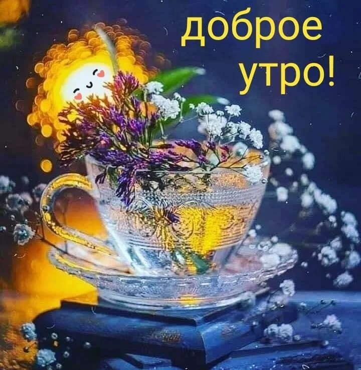Картинки добрый вечер летние необычные Пин от пользователя Ирина Нагорная на доске Доброе утро Доброе утро, Рождественс