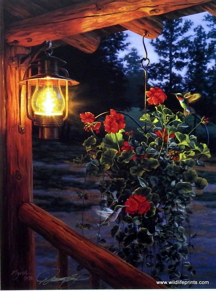 Картинки добрый вечер лето необычные красивые Artist Darrell Bush Unframed Bird and Flower Print Sweet Attraction Beautiful ar
