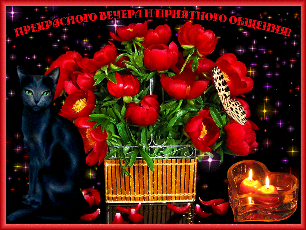 Картинки добрый вечер мерцающие и мигающие Пожелания доброго вечера женщине картинки красивые мерцающие: найдено 87 картино