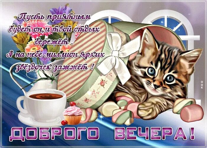 Картинки добрый вечер новые с юмором Funny picture good evening 2023 Поздравления для Друзей. Бесплатно VK