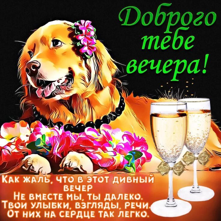 Картинки добрый вечер новые с юмором Милая картинка с собачкой и цветами Скачать бесплатно Картинки, Милые текстовые 