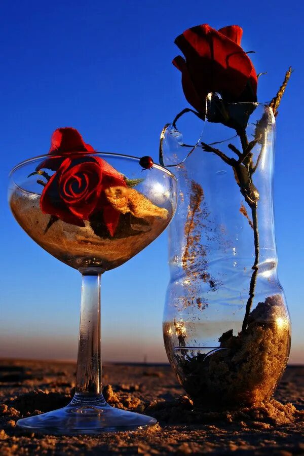 Картинки добрый вечер новые стильные необычные Rose Scent by ahermin on deviantART Rose scented products, Rose, Image